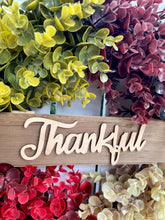 Load image into Gallery viewer, Color Block Eucalyptus