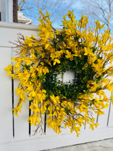 Load image into Gallery viewer, Forsythia & Eucalyptus