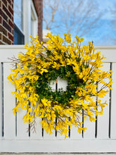 Load image into Gallery viewer, Forsythia & Eucalyptus