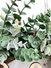 Load image into Gallery viewer, Baby Blue Eucalyptus