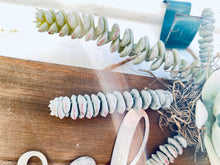 Load image into Gallery viewer, White Succulent Welcome Sign