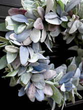 Load image into Gallery viewer, Multicolor Lamb’s Ear