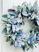 Load image into Gallery viewer, Multicolor Lamb’s Ear