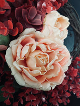 Load image into Gallery viewer, Ruby & Morganite