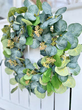 Load image into Gallery viewer, Seeded Silver Dollar Eucalyptus