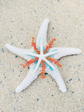 Load image into Gallery viewer, Starfish Hanger