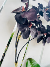 Load image into Gallery viewer, Black Orchid Hoop