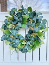 Load image into Gallery viewer, Seeded Silver Dollar Eucalyptus