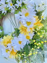 Load image into Gallery viewer, Daisies