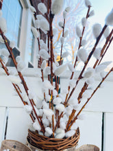 Load image into Gallery viewer, Pussy Willow Basket