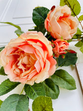 Load image into Gallery viewer, Peach