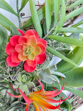 Load image into Gallery viewer, Breeze