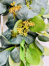 Load image into Gallery viewer, Seeded Silver Dollar Eucalyptus