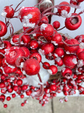 Load image into Gallery viewer, White Owl & Frosted Crabapples