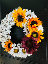 Load image into Gallery viewer, Seeds & Pods