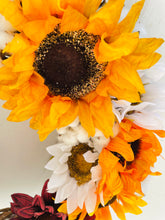 Load image into Gallery viewer, Seeds & Pods