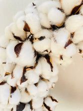 Load image into Gallery viewer, Seeds & Pods