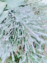 Load image into Gallery viewer, Mint Green Winter Holiday Wreath