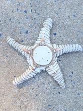 Load image into Gallery viewer, Starfish with Sand Dollar