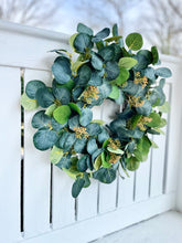 Load image into Gallery viewer, Seeded Silver Dollar Eucalyptus