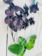 Load image into Gallery viewer, Black Orchid Hoop