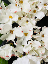 Load image into Gallery viewer, Dogwood Moon