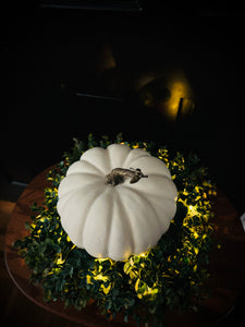 Great Pumpkin Centerpiece