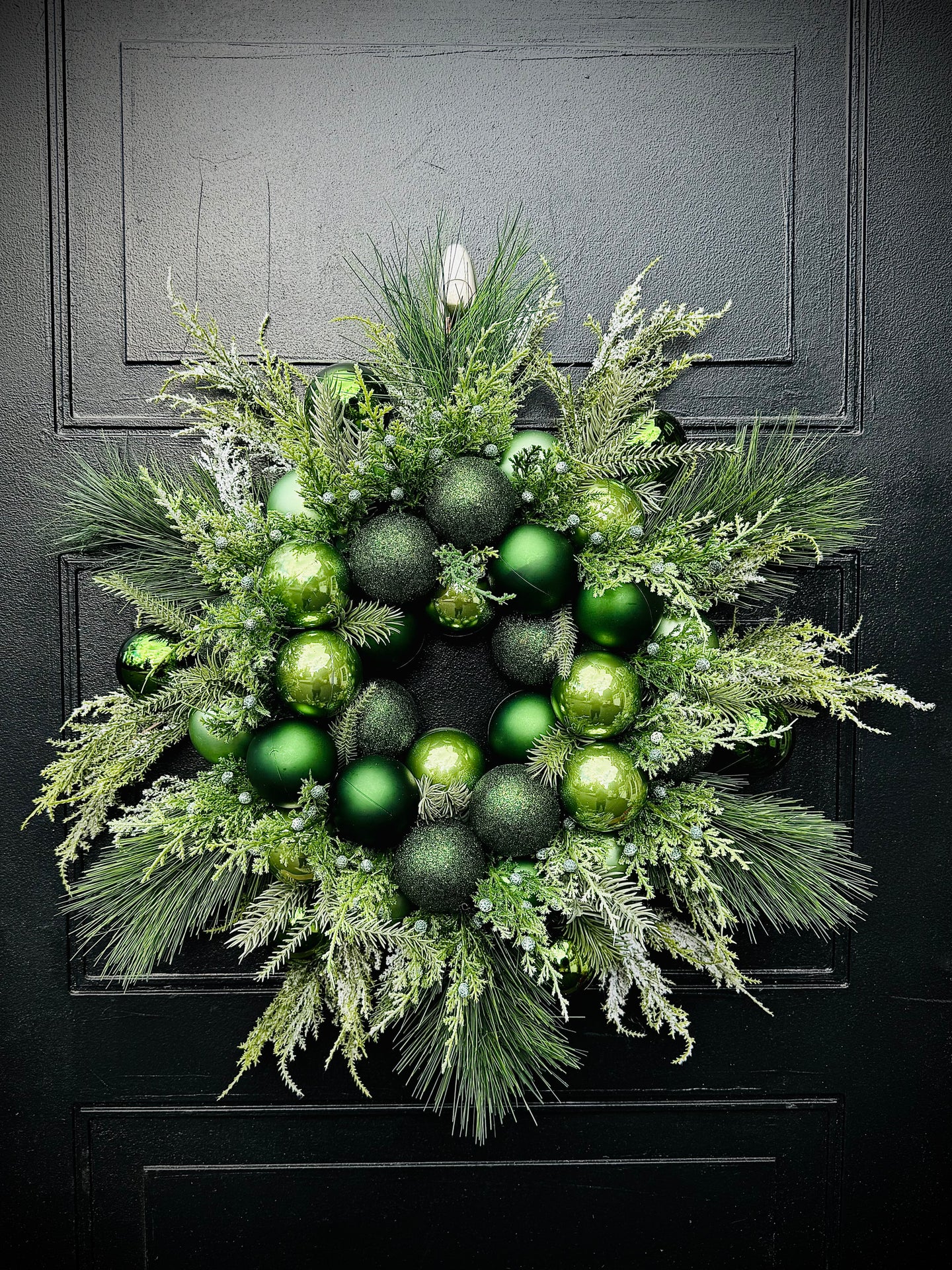 Ornamental Evergreen