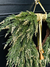 Load image into Gallery viewer, Gold-Tipped Cedar
