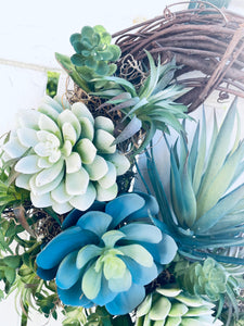 Blue Succulents