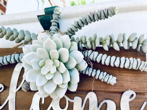 White Succulent Welcome Sign