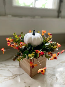 Mini White Pumpkin Centerpiece Box (2 available!)