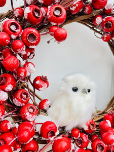 White Owl & Frosted Crabapples