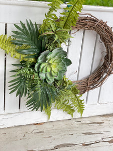 Green Giant Echeveria & Palm Wreath